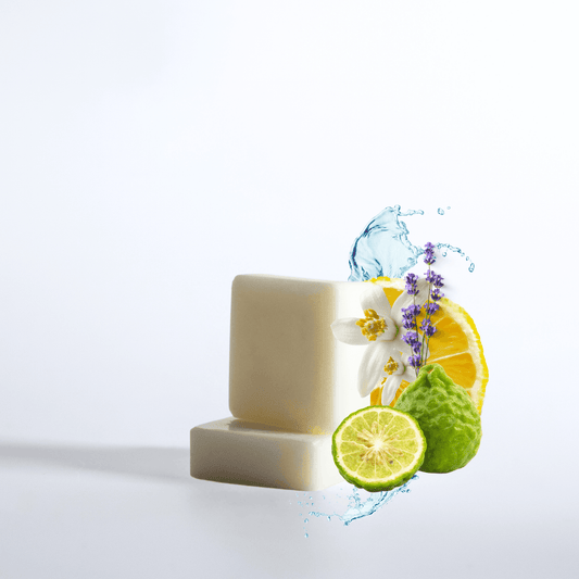 Fondant parfumé PORTOFINO - EDITION AP